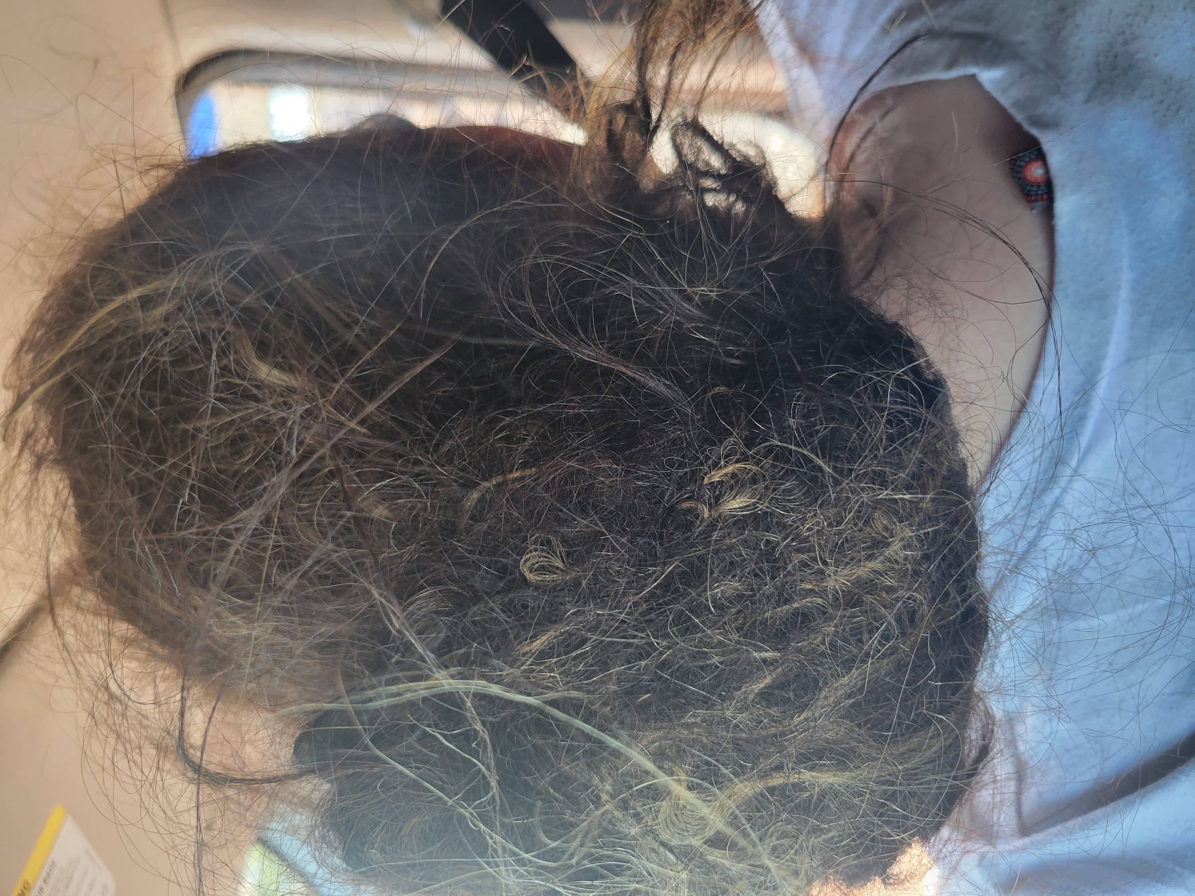 Your Matted Tangled Hair Should Not Be Treated As Matted Grass On The