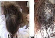 Detangle Hair Services Deposit 6 Mons -2Yrs Matted Tangled Hair