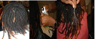 TD Remover & Detangler Bulk Case Orders-Dozen