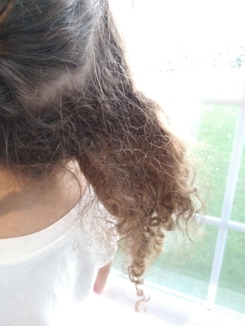 How To Detangle matted tangled Hair Blog