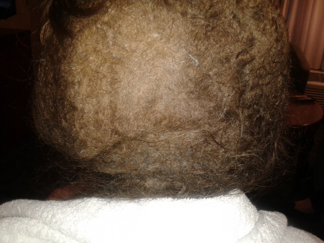1 Day Mobile Matted Hair Detangler Tech Service.
