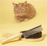 Matted Pet Hair Remover For Cats