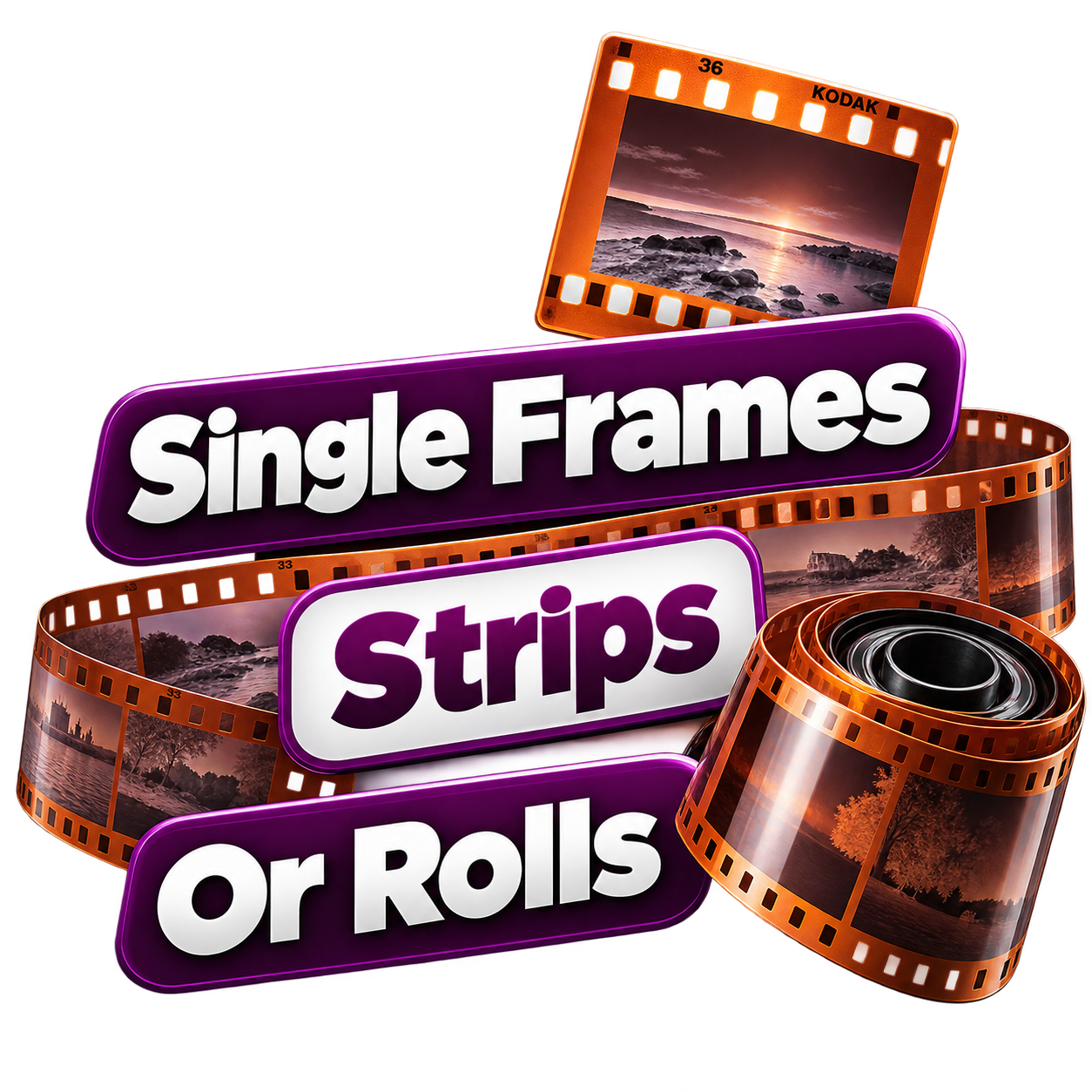 Single frames, strips or rolls of negatives accepted for scanning