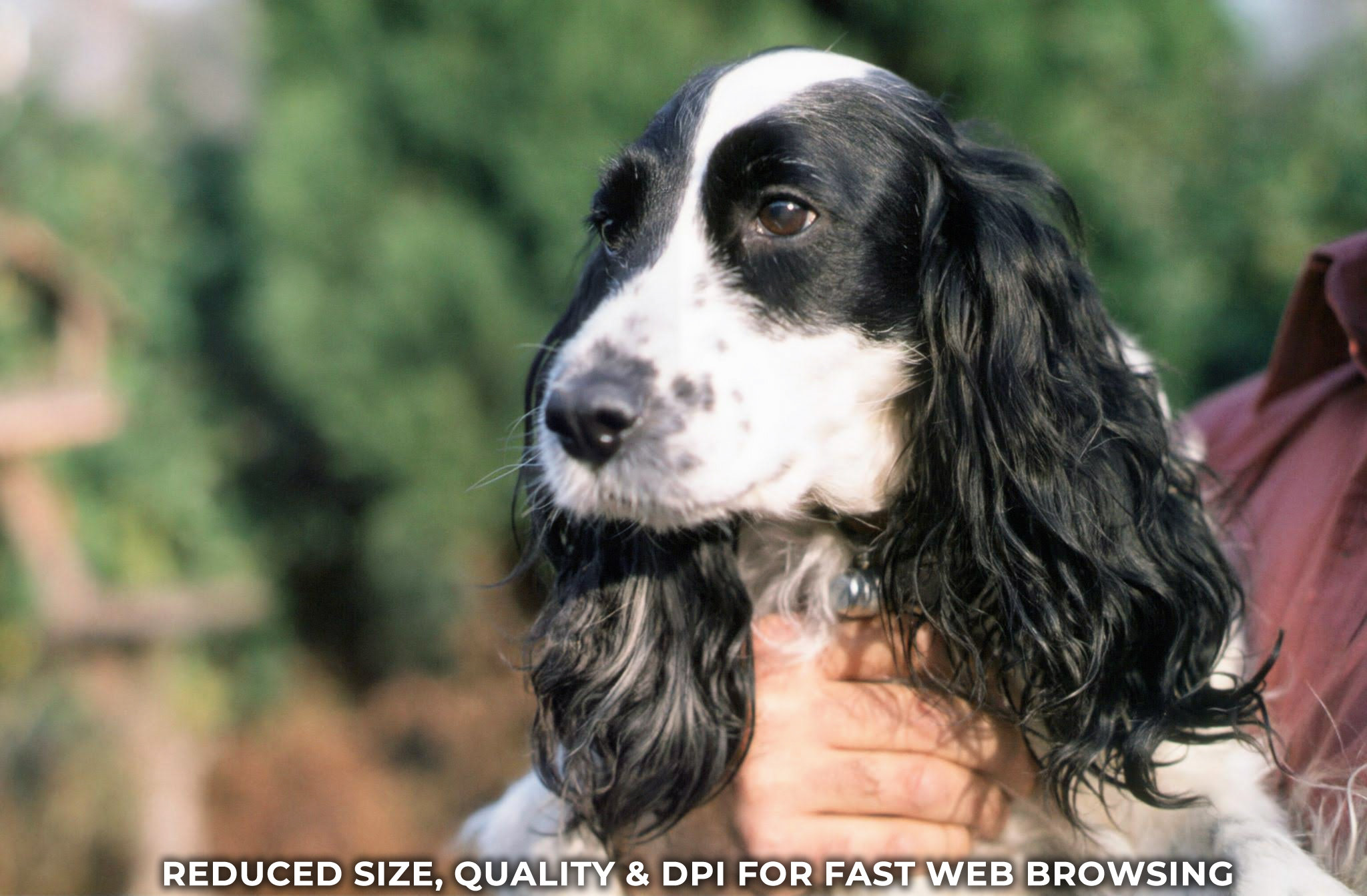 Slides to Prints 6x4 Inch Photos from Slides Revive Studios