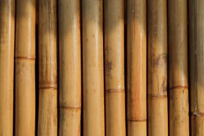 bamboo stems ready to make fishing float tubes