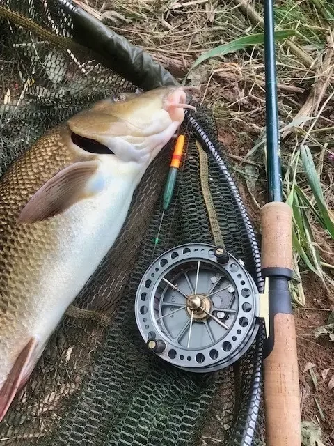 barbel caught stret-pegging with handmade wire stem avon float