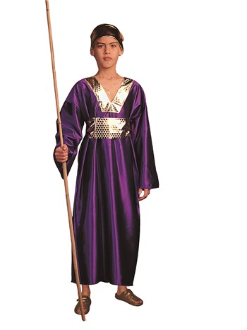 Wiseman Purple Child Costume