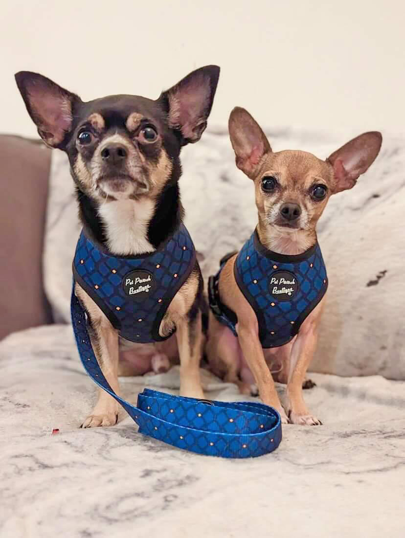 Diamond In The Ruff Dog Lead Reversible