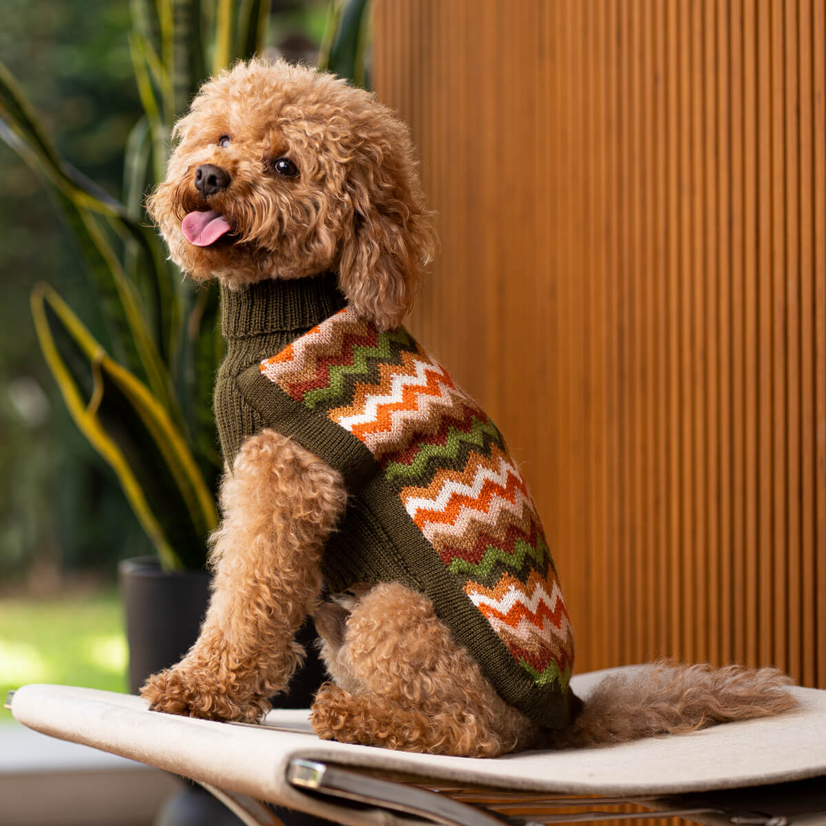 Forest Chevron Knit Alpaca Wool Dog Jumper - Alqo Wasi