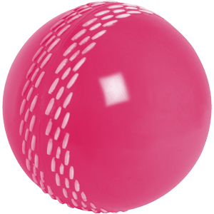 Gray Nicolls Velocity Ball