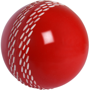 Gray Nicolls Velocity Ball
