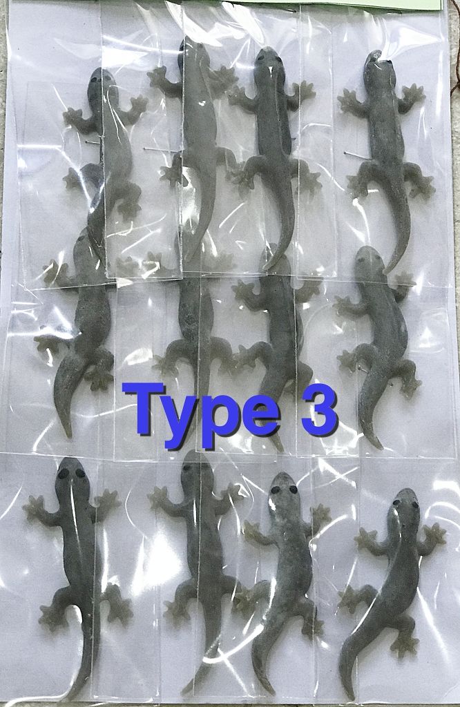 Fake Toy Lizard