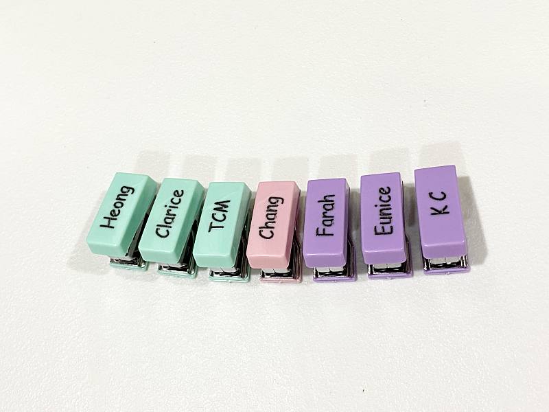 Mini Stapler Set