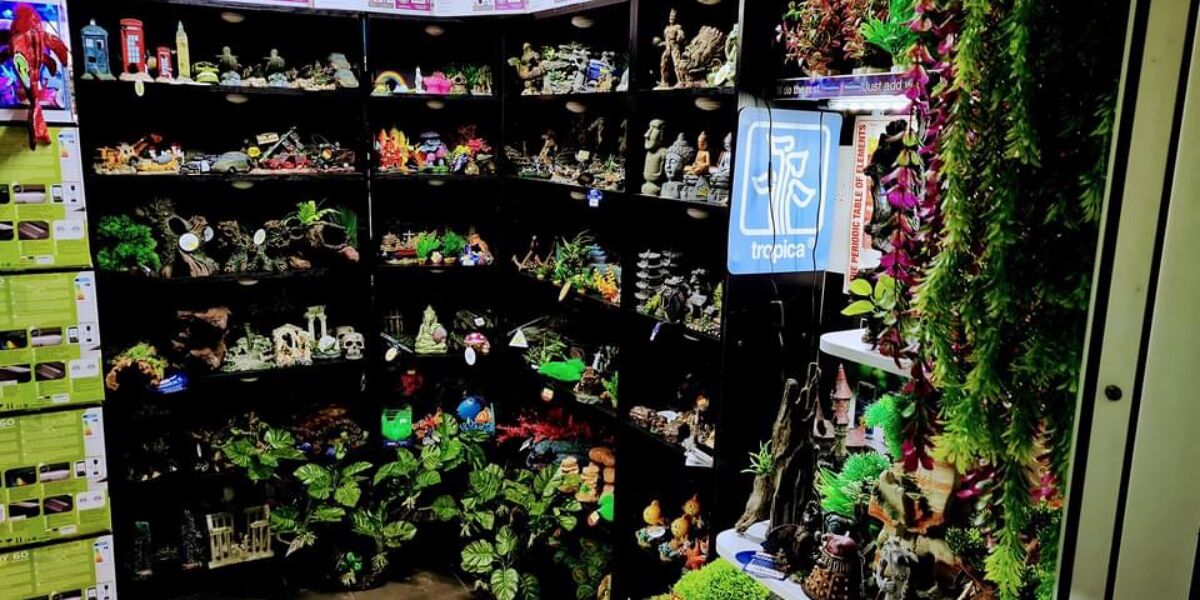 The Aquatic Store Bristol