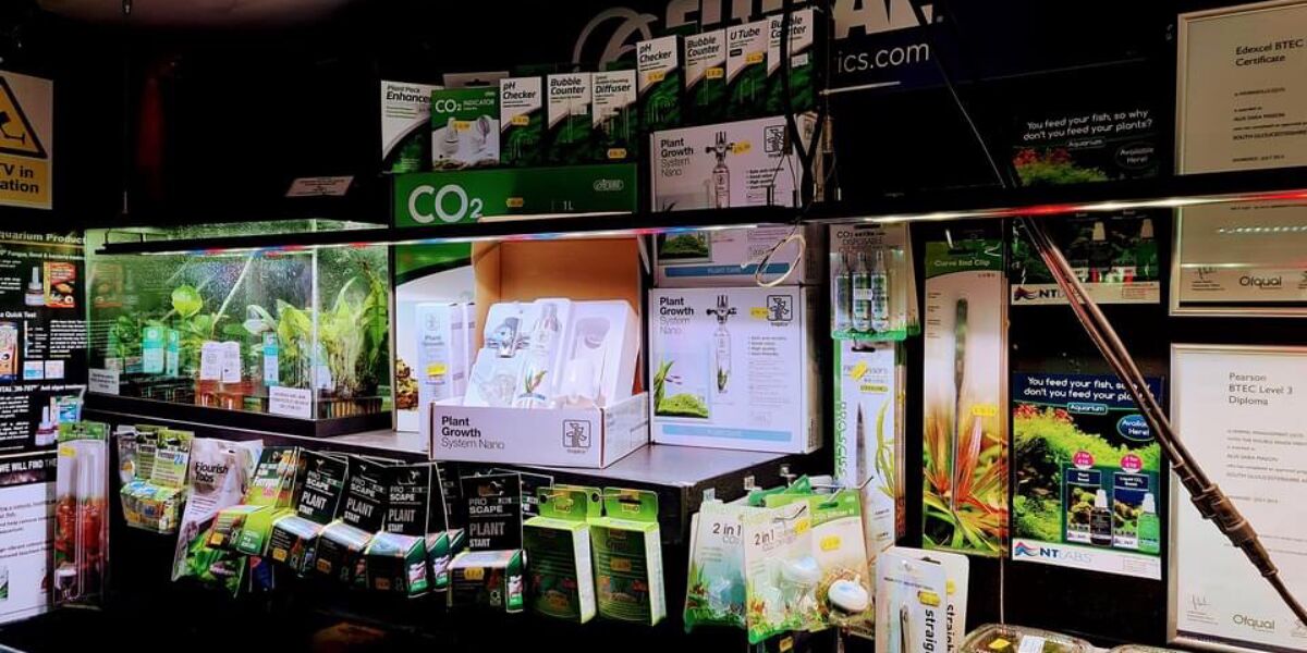 The Aquatic Store Bristol