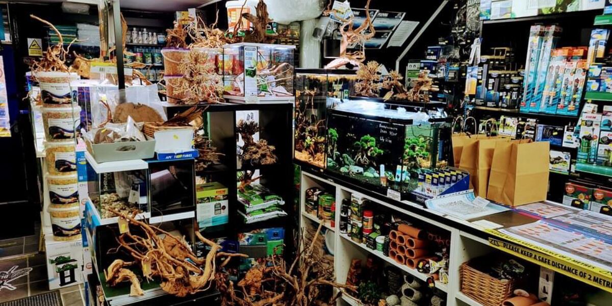 The Aquatic Store Bristol