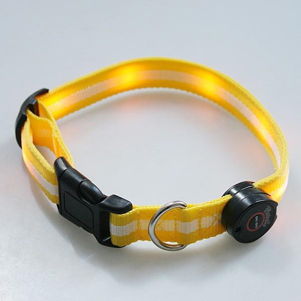 LARGE STRIPED LED FLASHING COLLAR