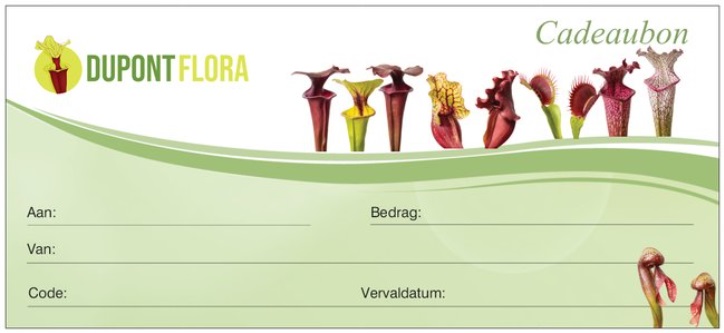 Cadeaubon / gift card