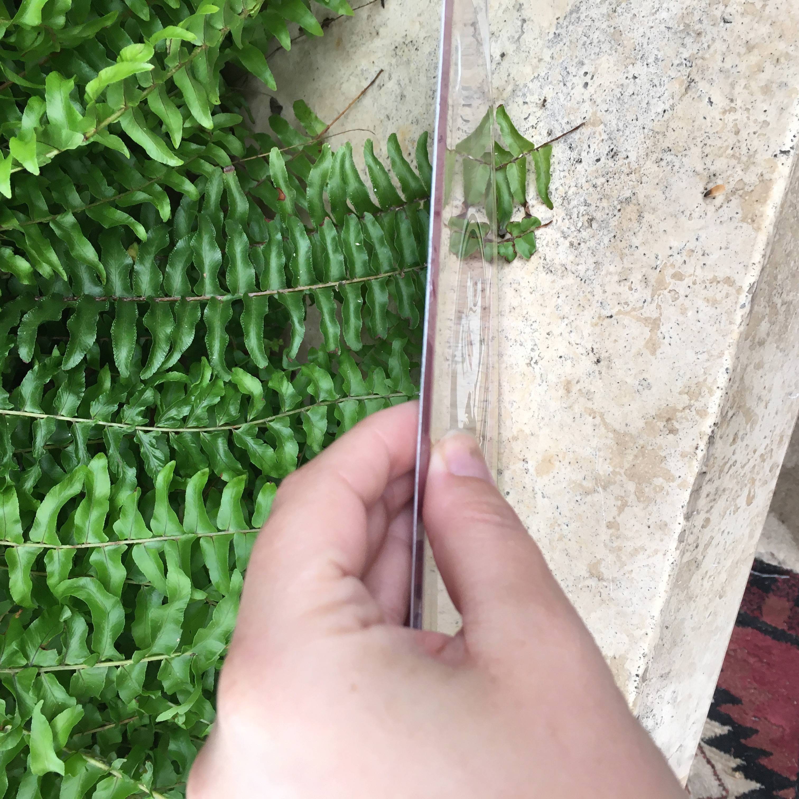 Florida State Seminoles License Plate / Florida Vanity Plates