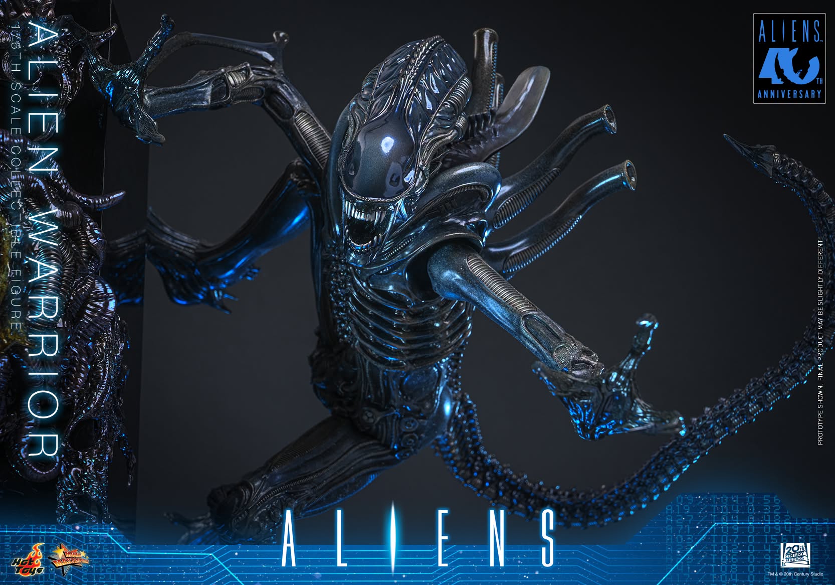 Hot Toys – Aliens - 1/6th scale Alien Warrior Collectible Figure ...