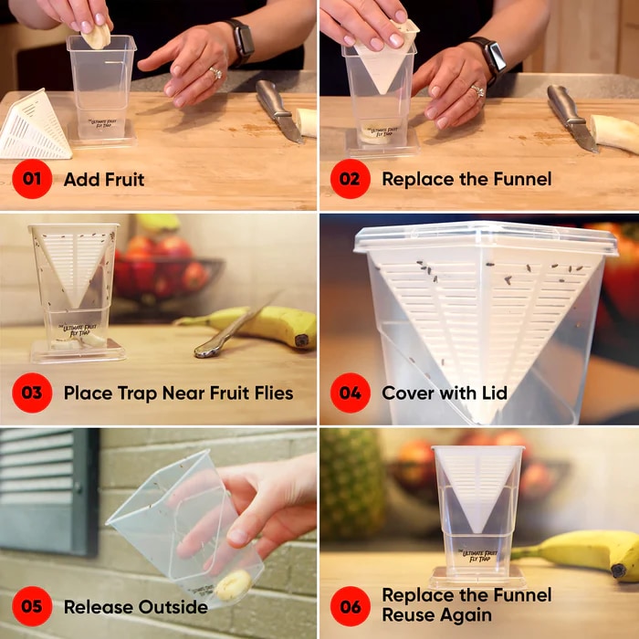 Ely Wholesale Ultimate Fruit Fly Trap