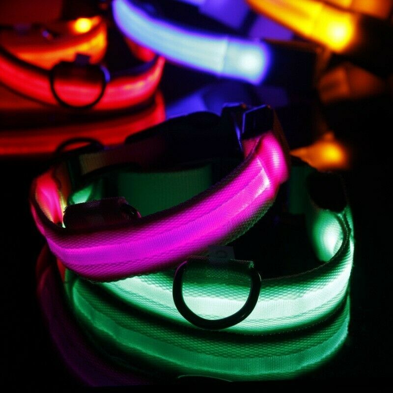 LED Dog Collars