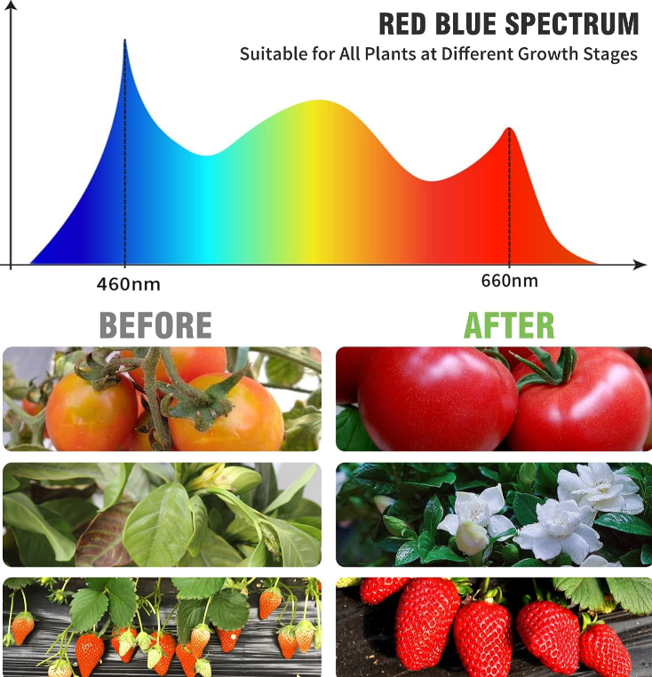 Ely Wholesale Grow Lights