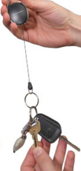 Ely Wholesale Bulk Products