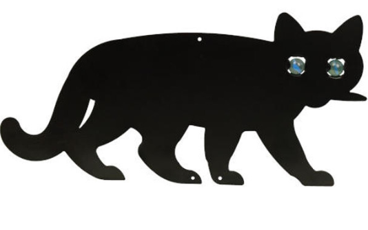 Cat1