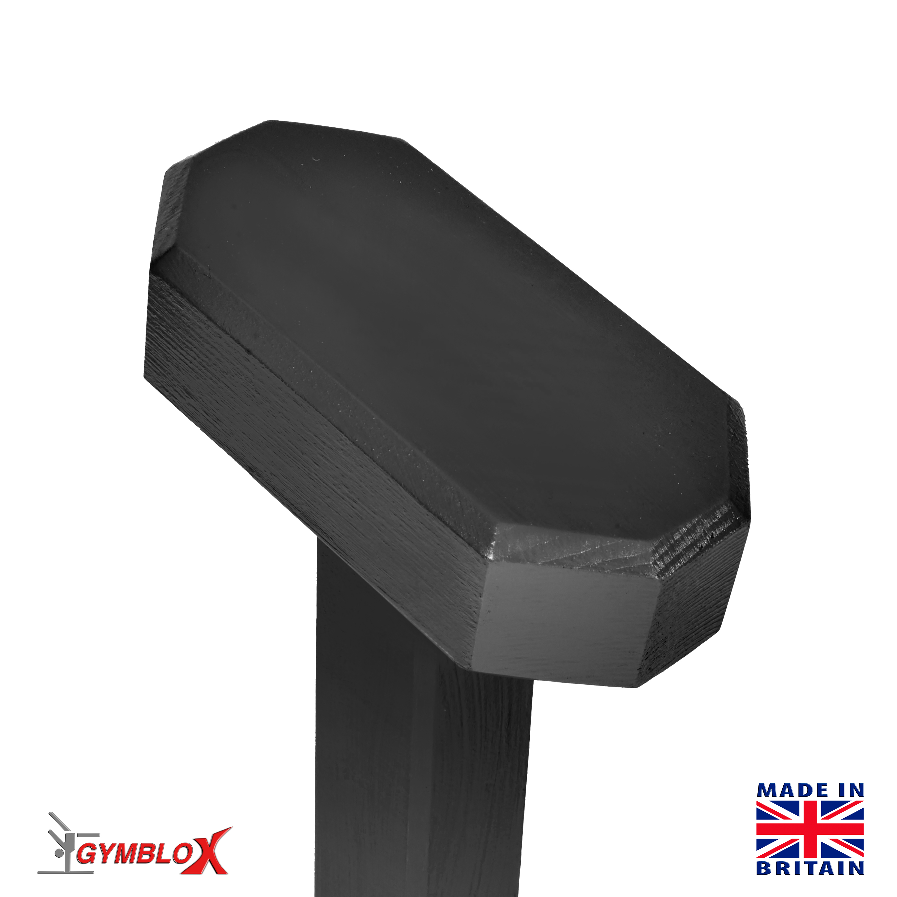 Black Gymblocks & Parallettes