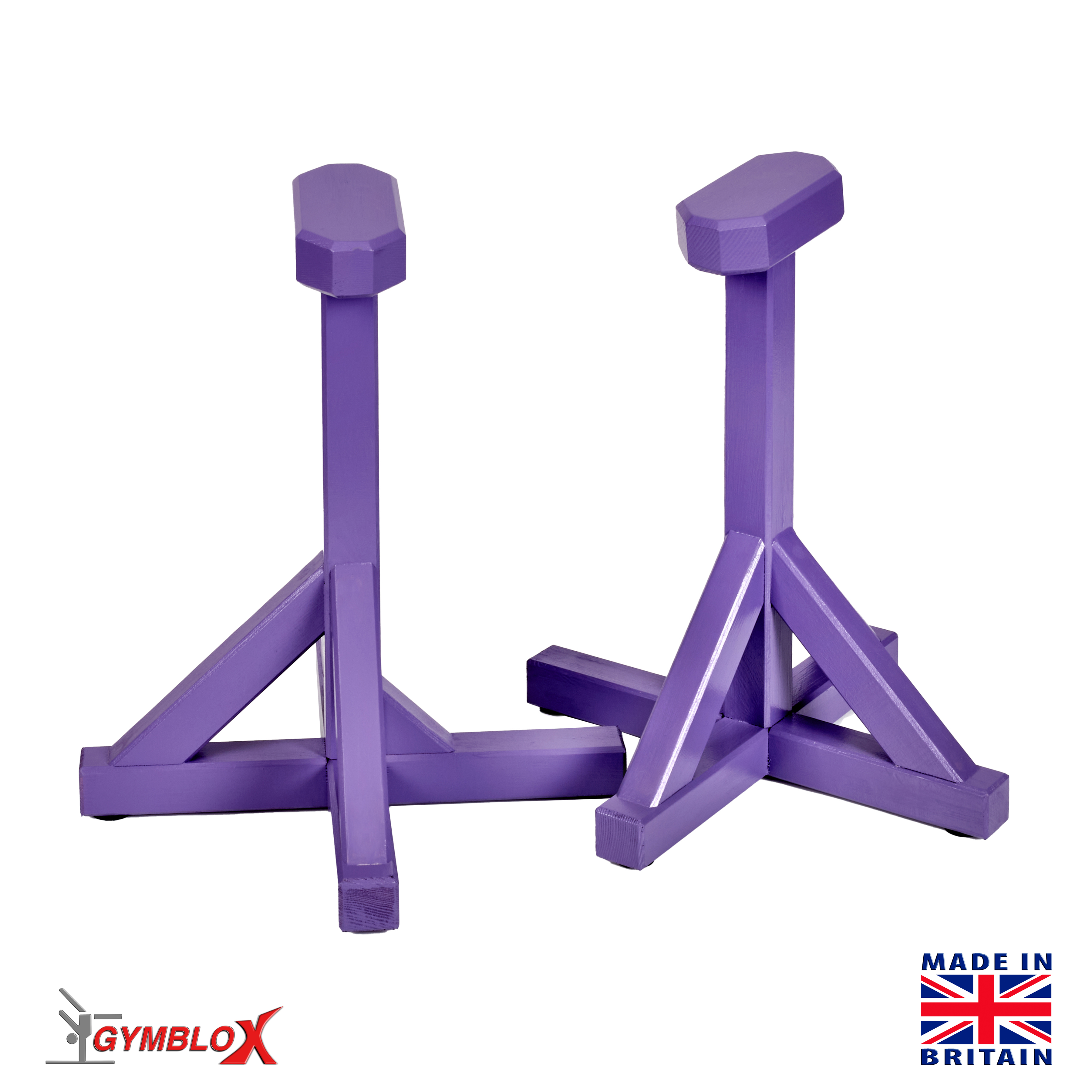 Purple Gymblocks & Parallettes
