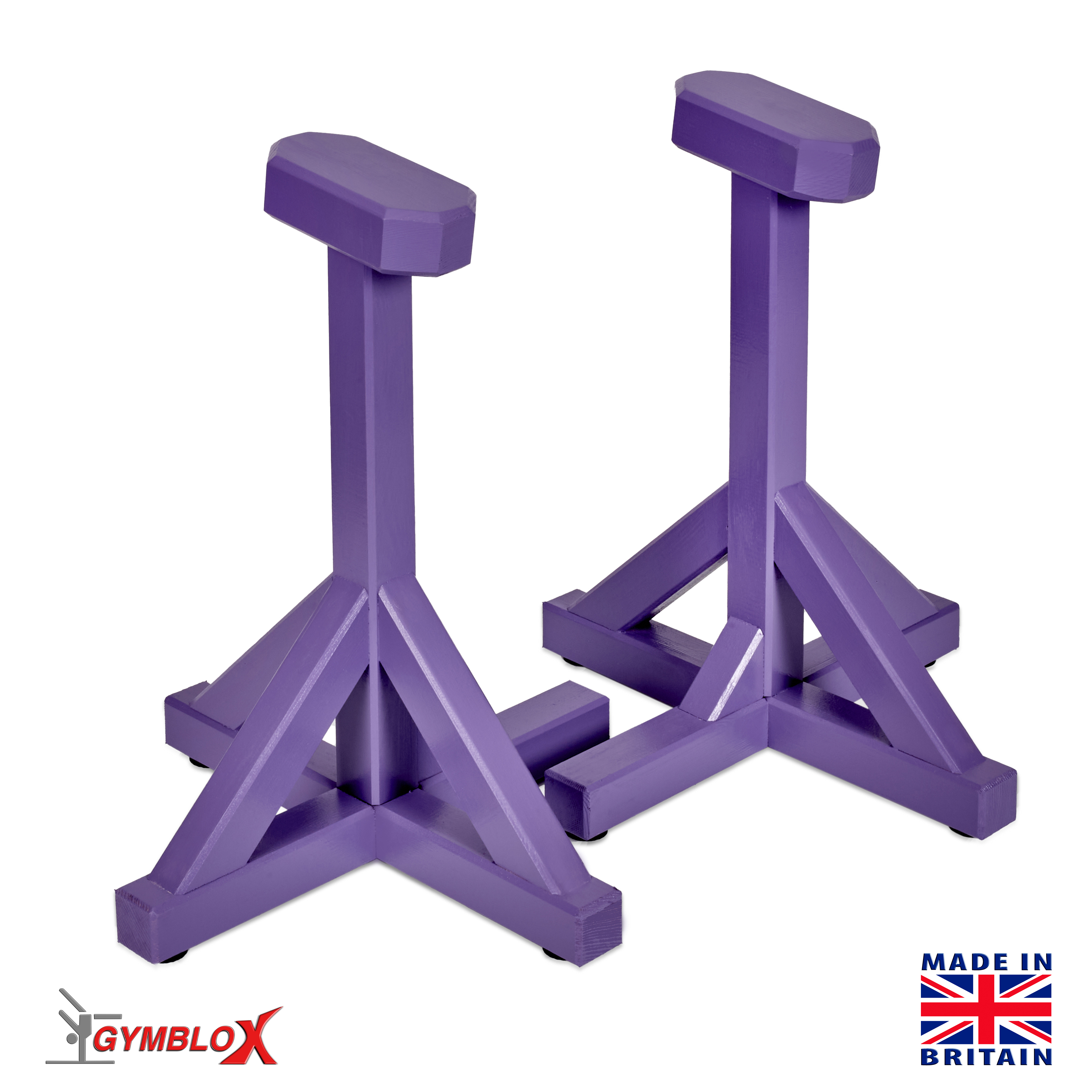 Purple Gymblocks & Parallettes