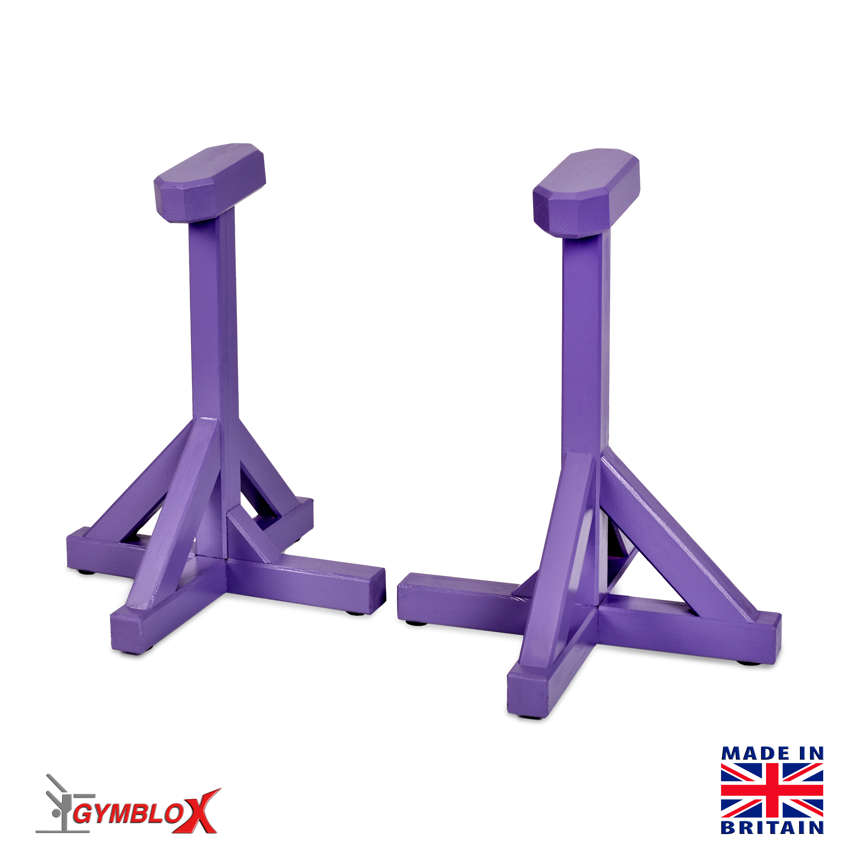 Purple Gymblocks & Parallettes