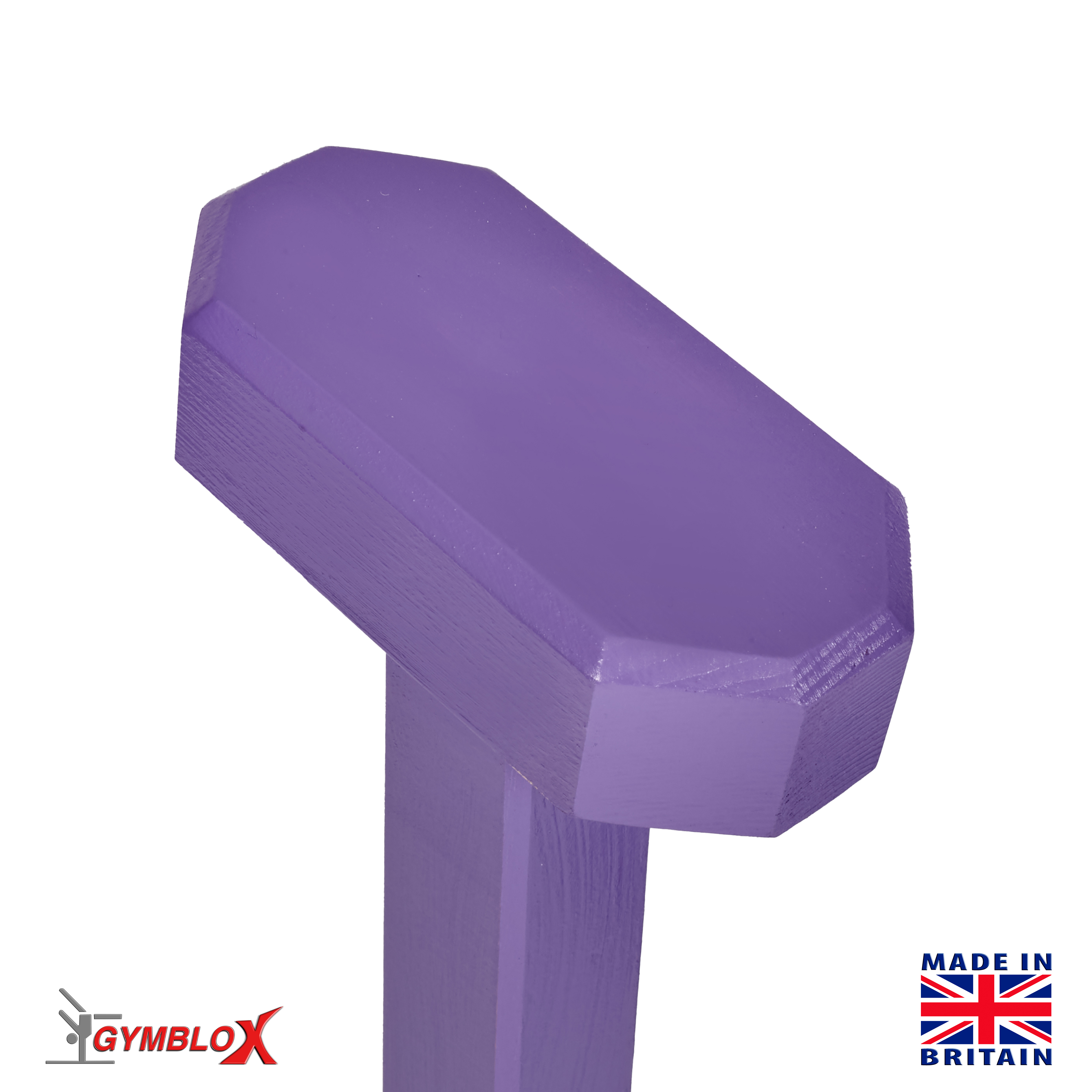 Purple Gymblocks & Parallettes