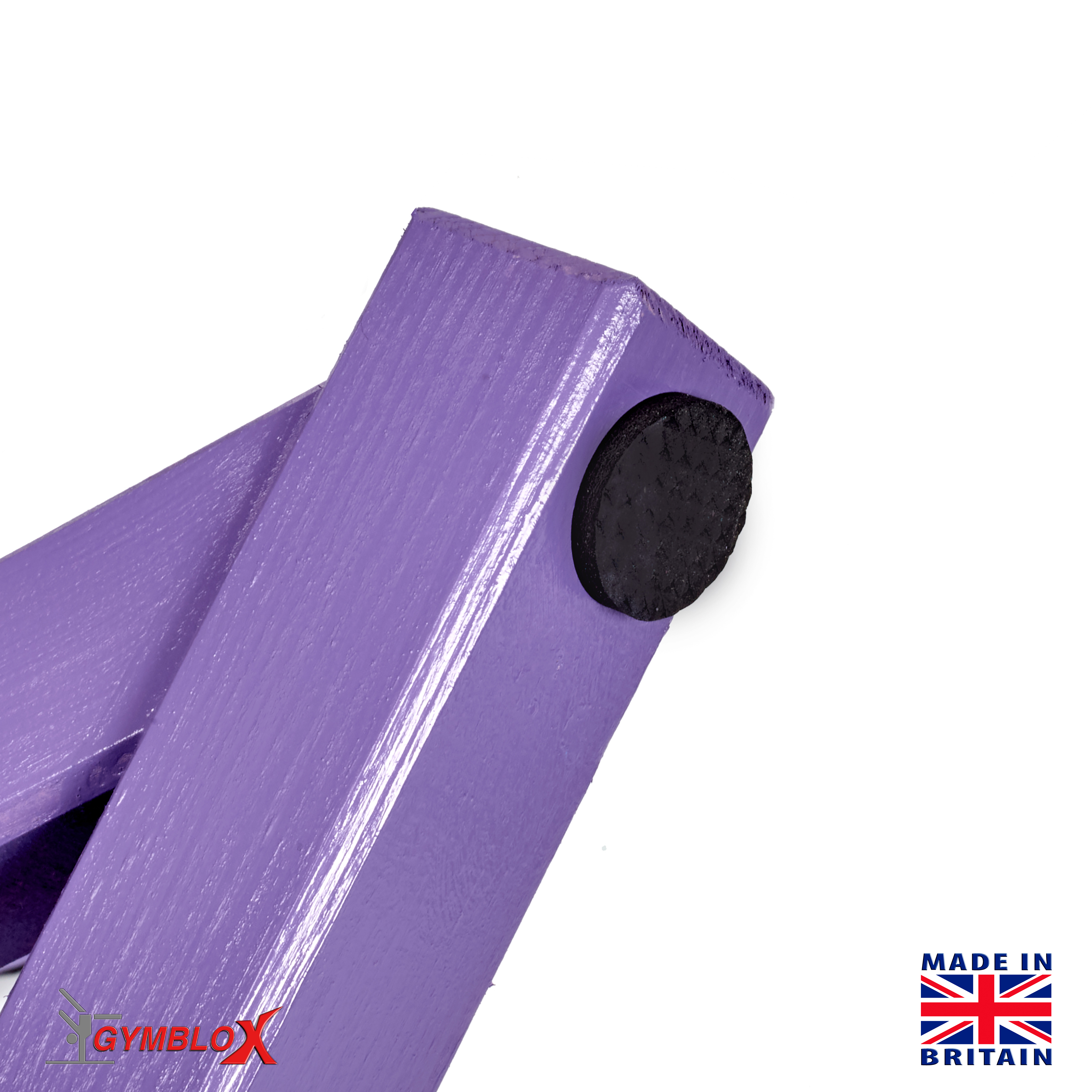 Purple Gymblocks & Parallettes