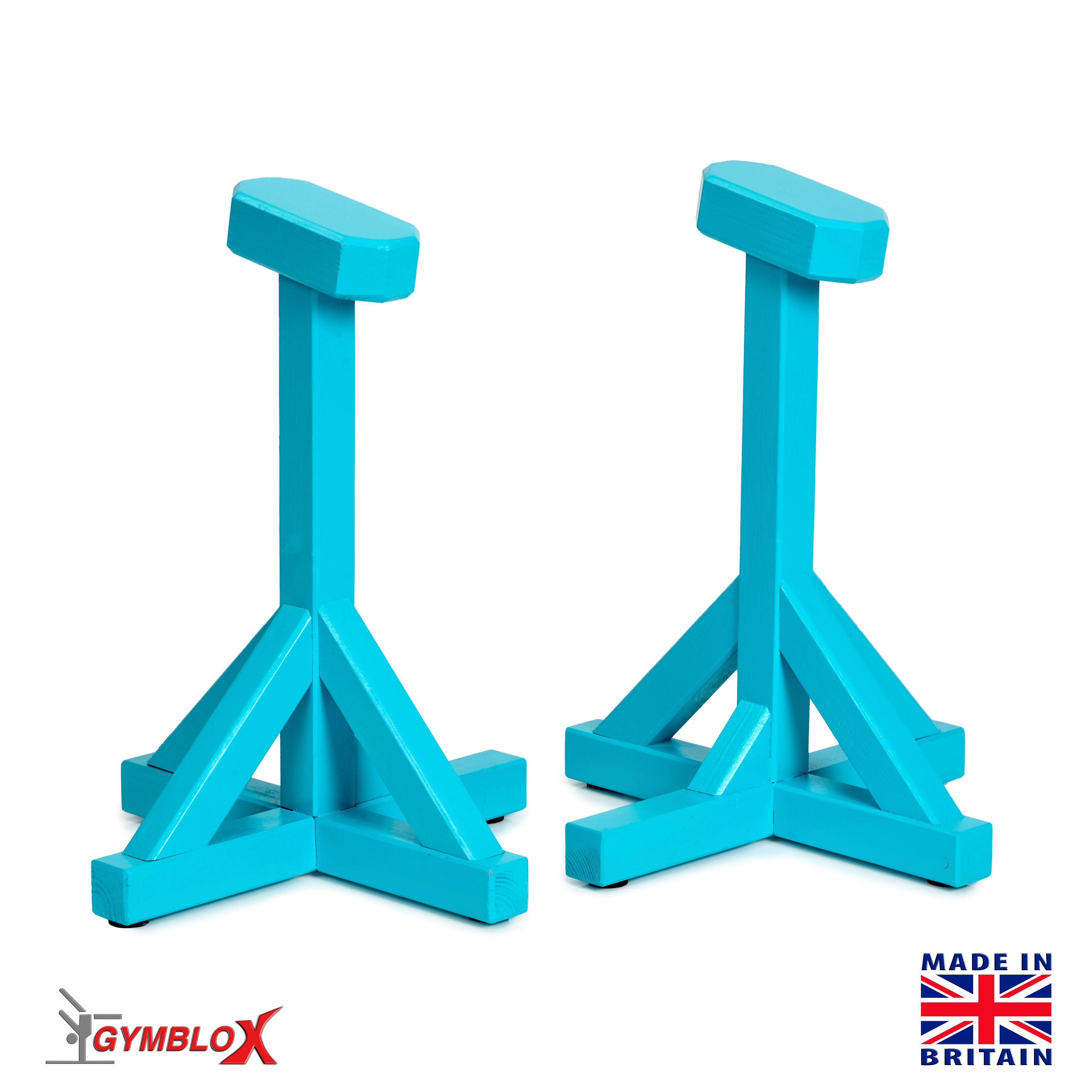 Turquoise Gymblocks & Parallettes