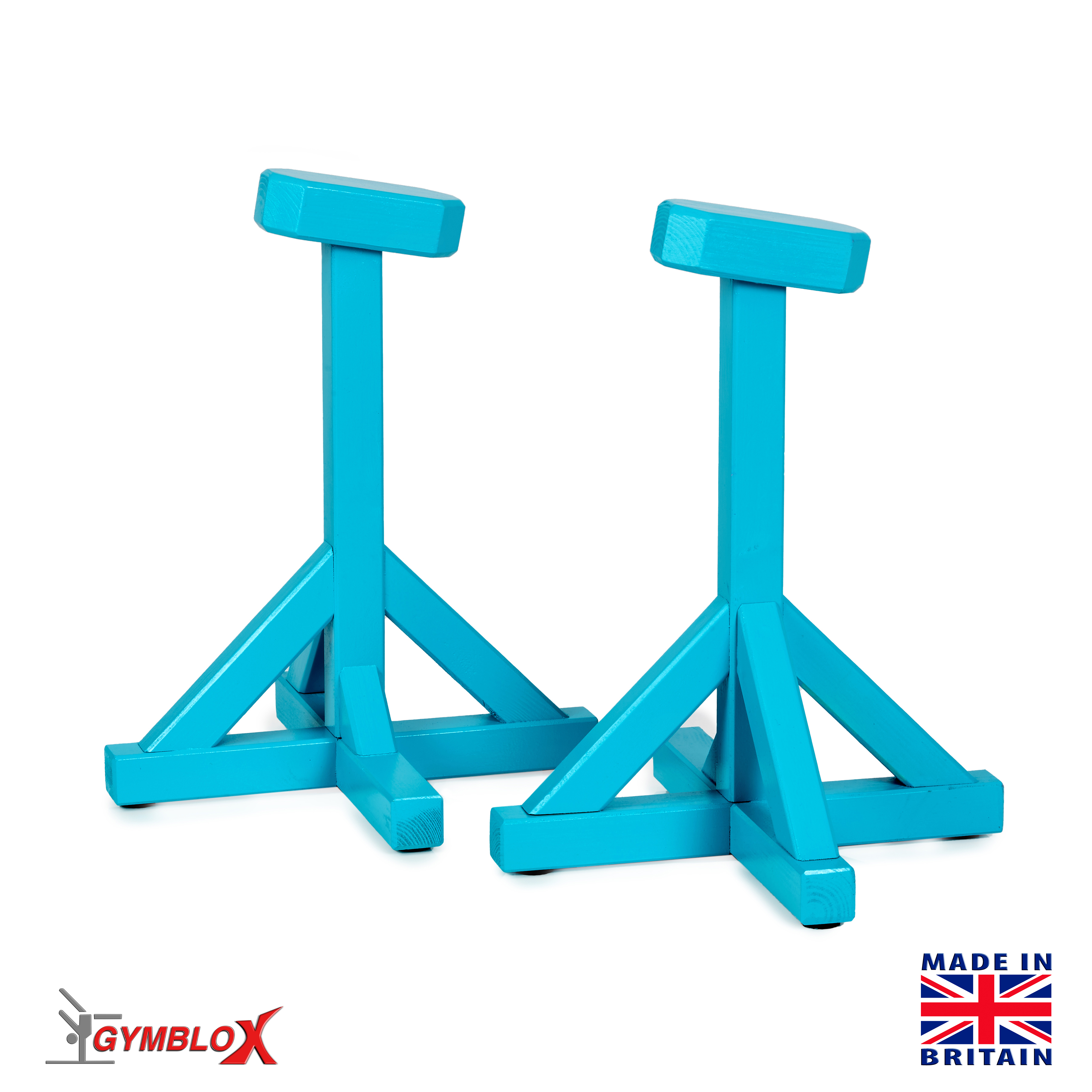 Turquoise Gymblocks & Parallettes