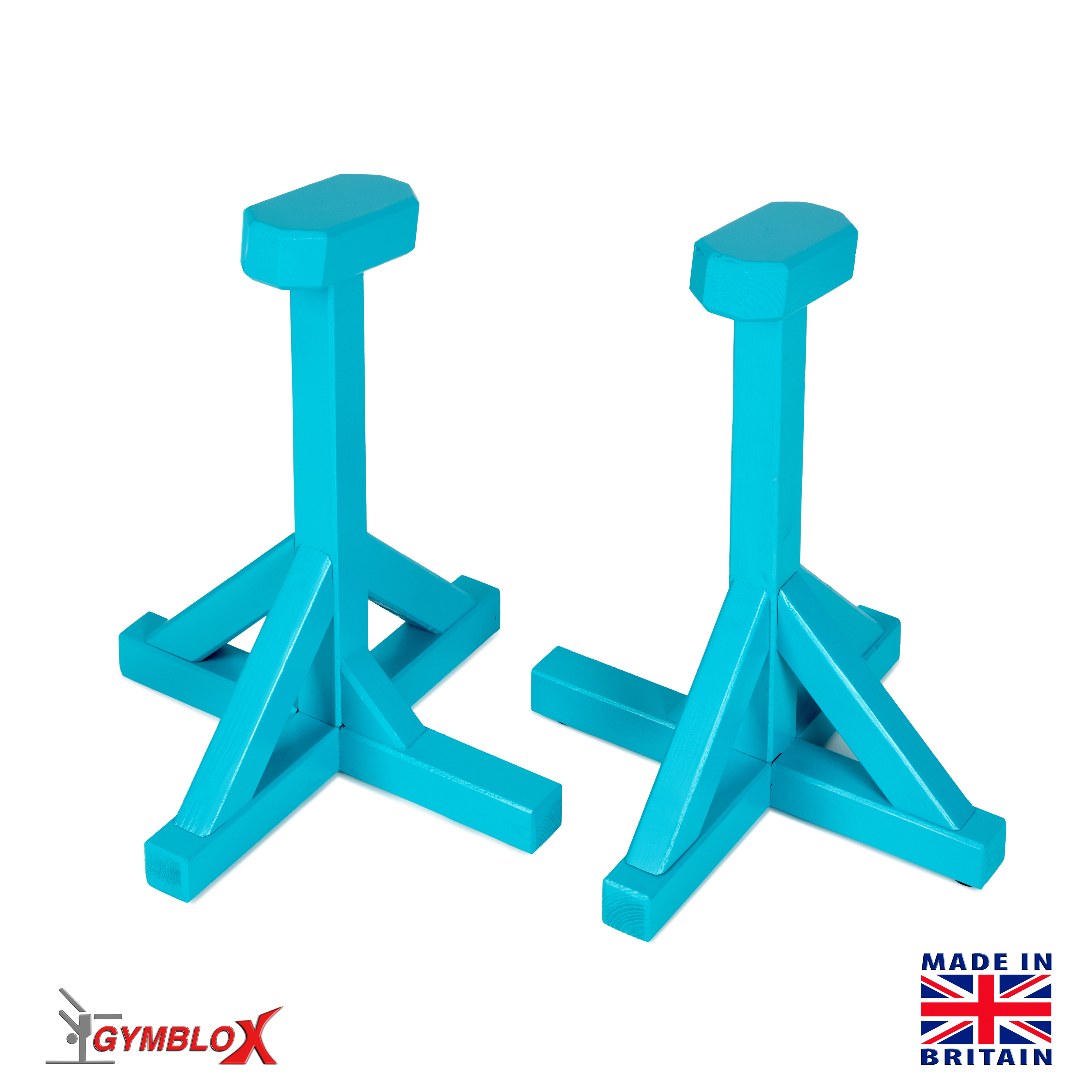 Turquoise Gymblocks & Parallettes