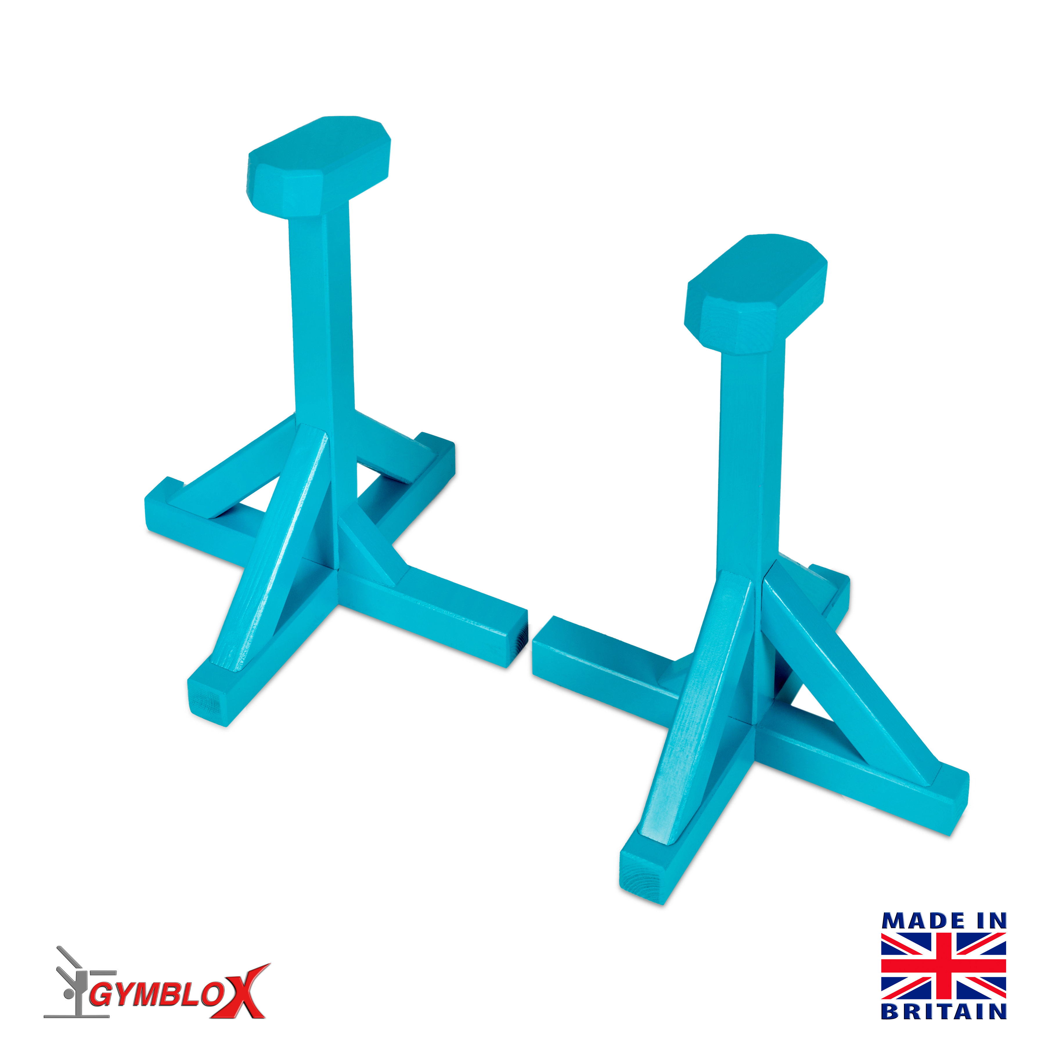 Turquoise Gymblocks & Parallettes