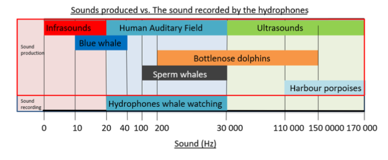 Mammal frequencies