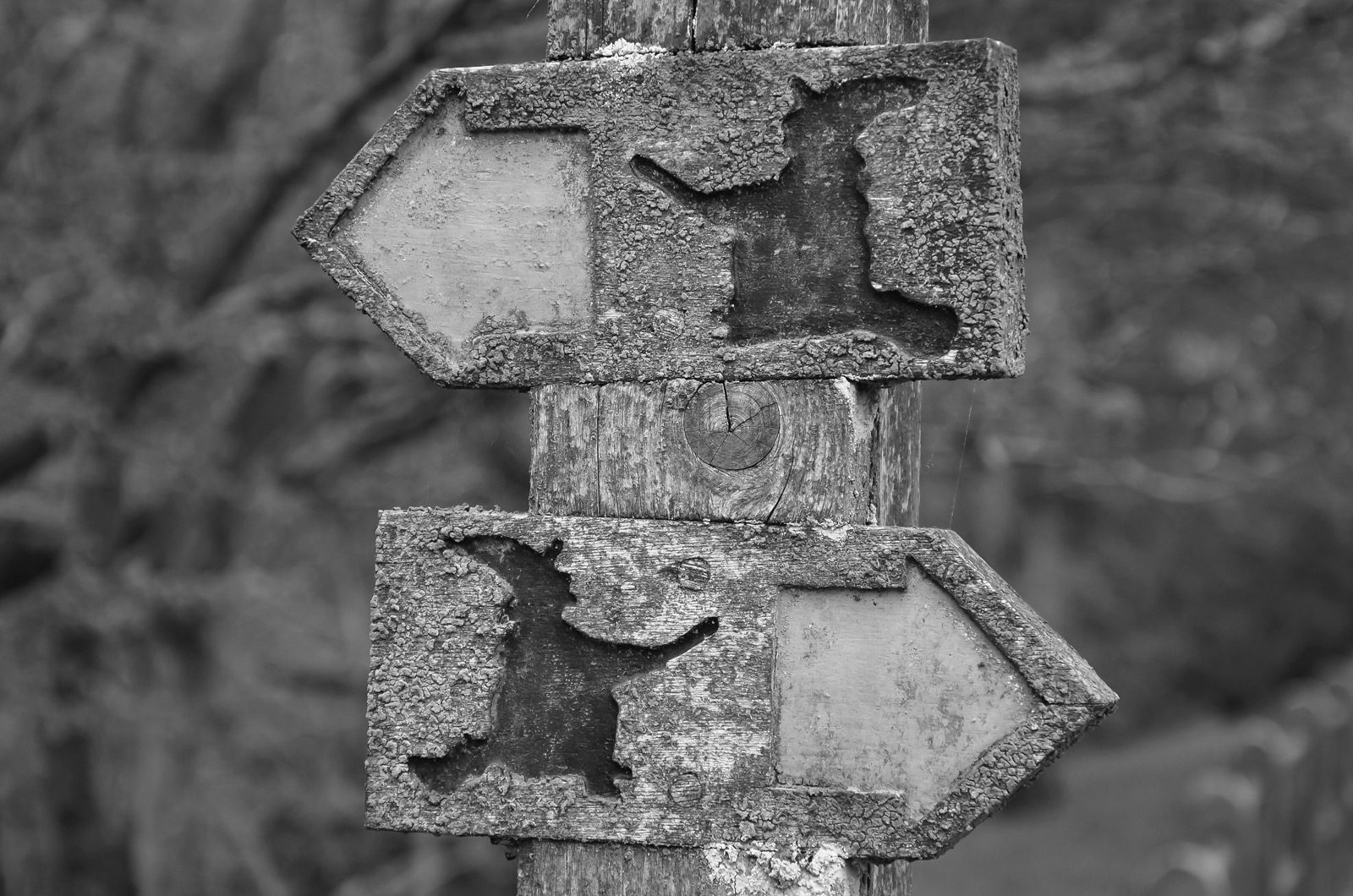 Carved witch waymarker signpost