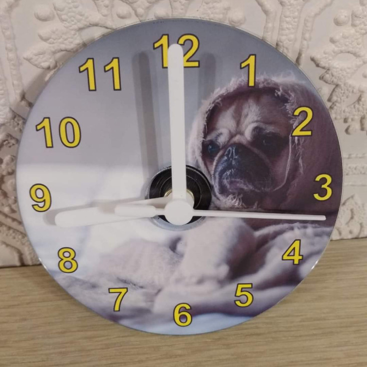 CD Clock - Pug