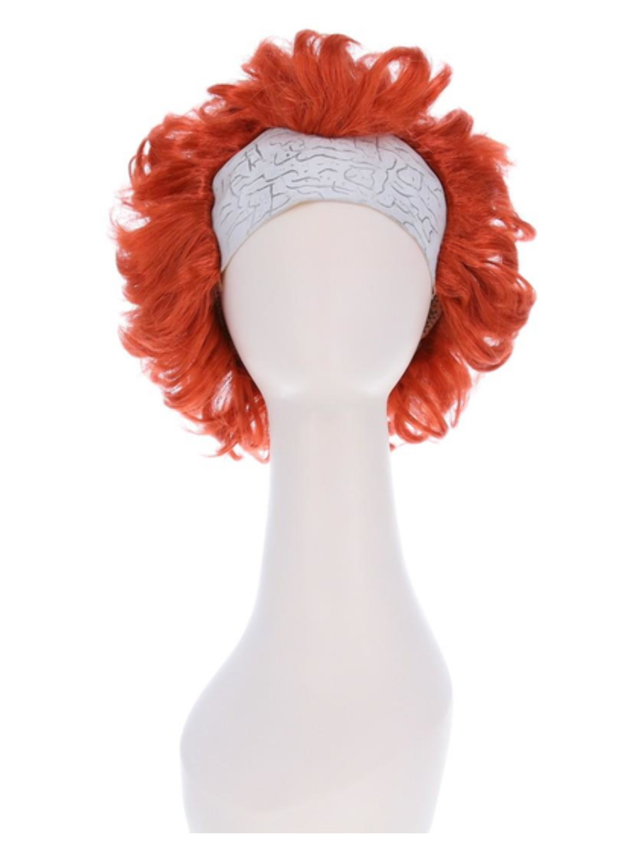 Chapter 2 Pennywise Wig