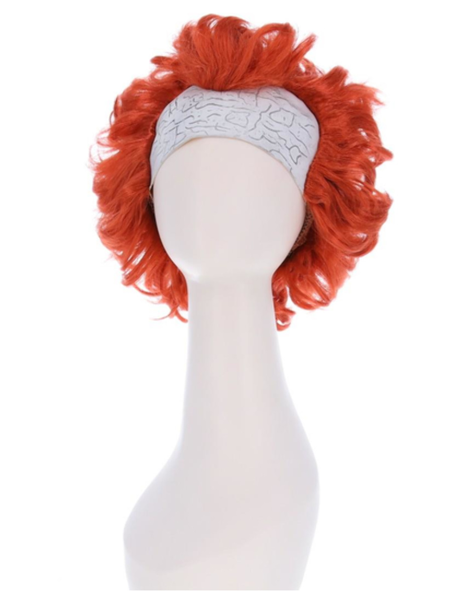 Chapter 2 Pennywise Wig