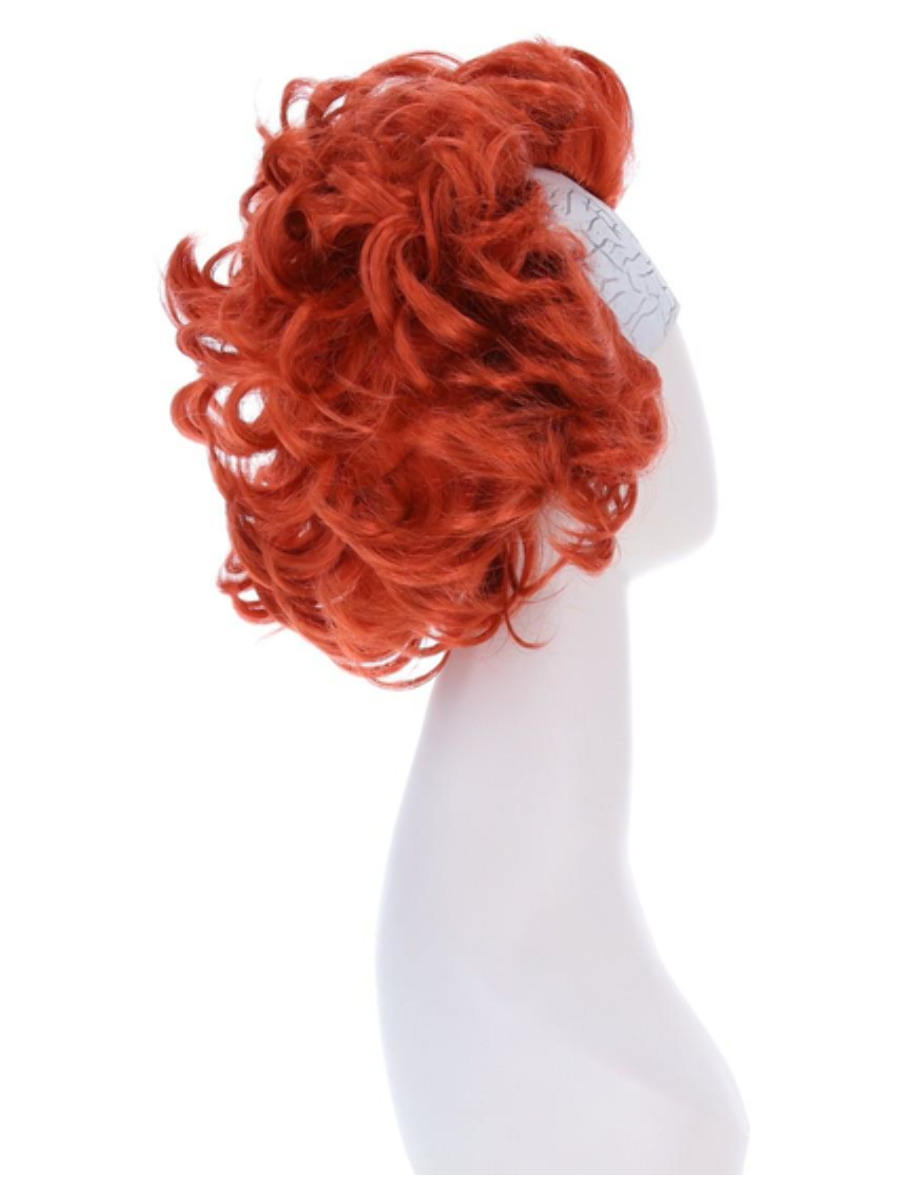 Chapter 2 Pennywise Wig