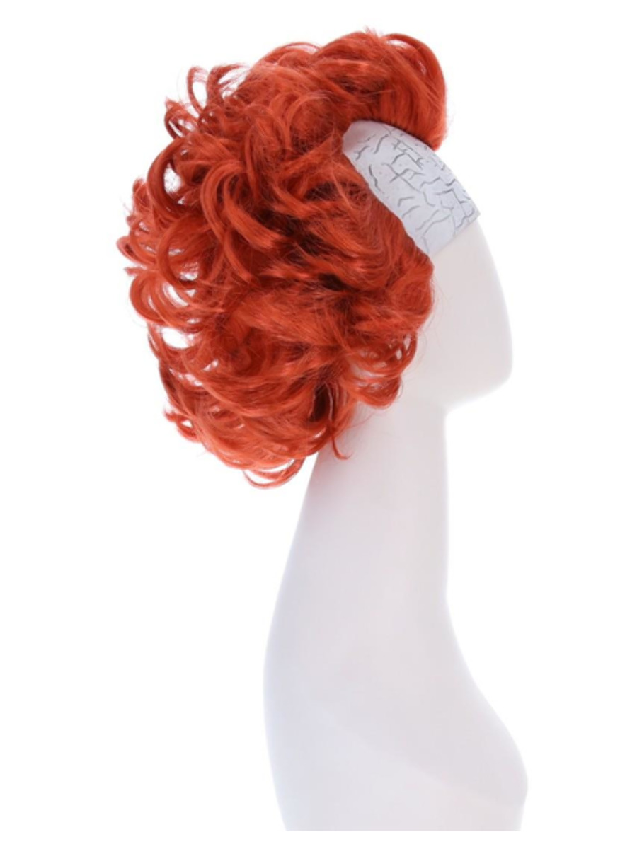 Chapter 2 Pennywise Wig