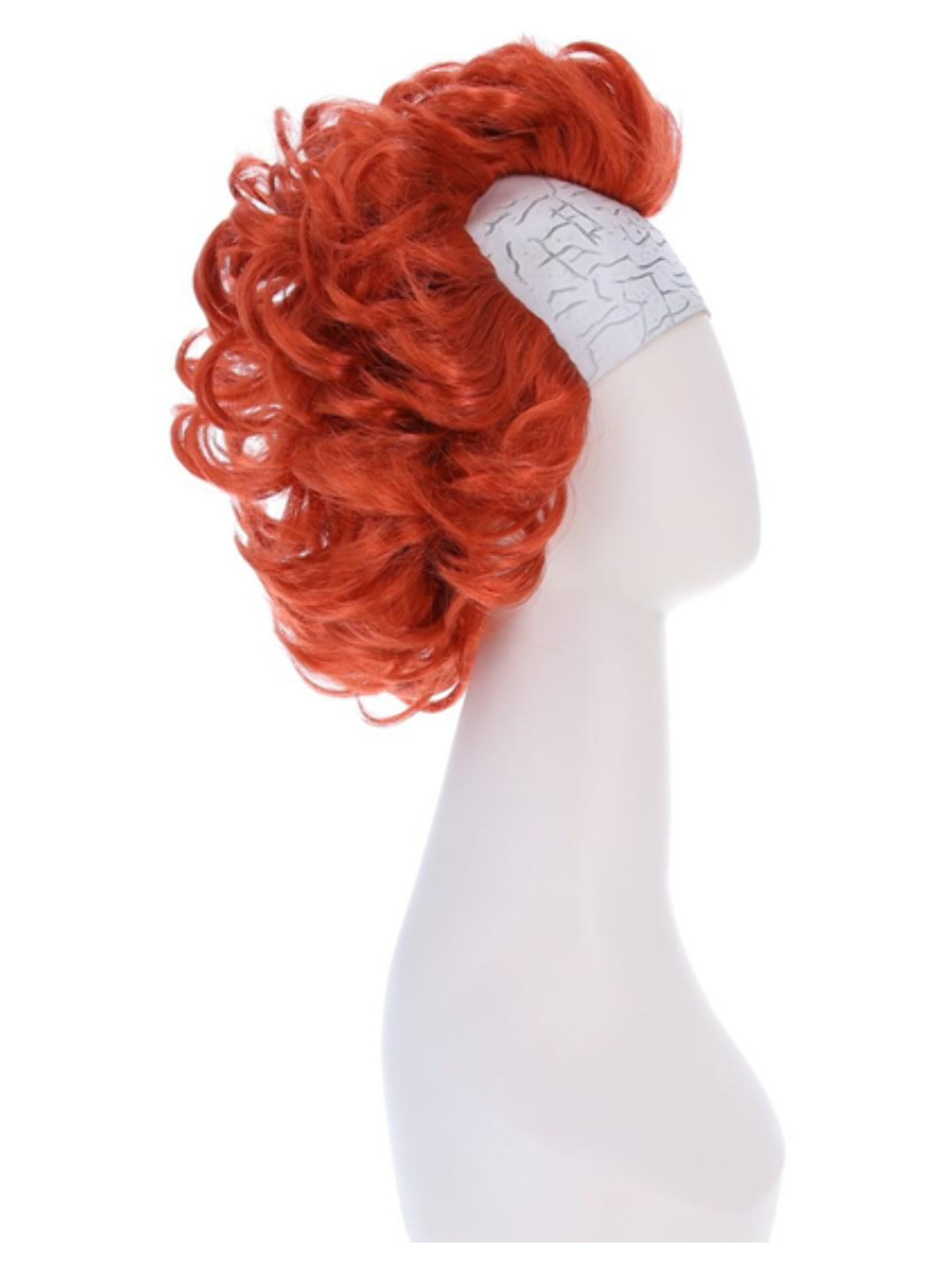 Chapter 2 Pennywise Wig