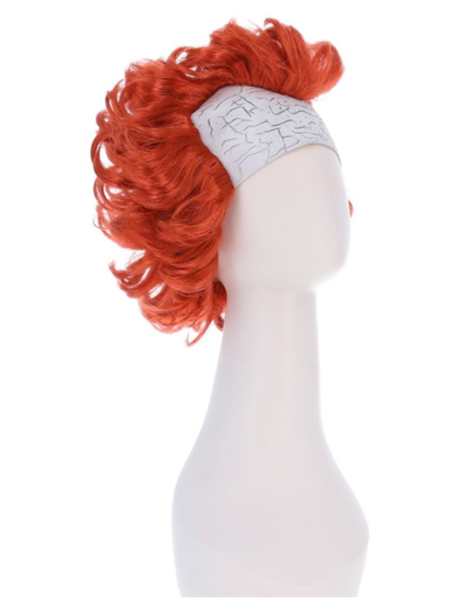 Chapter 2 Pennywise Wig
