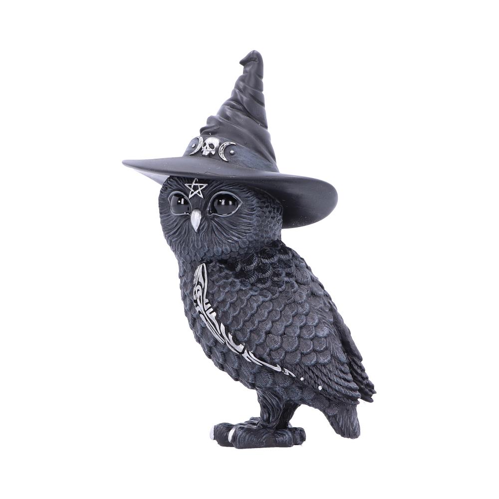 Owlocen