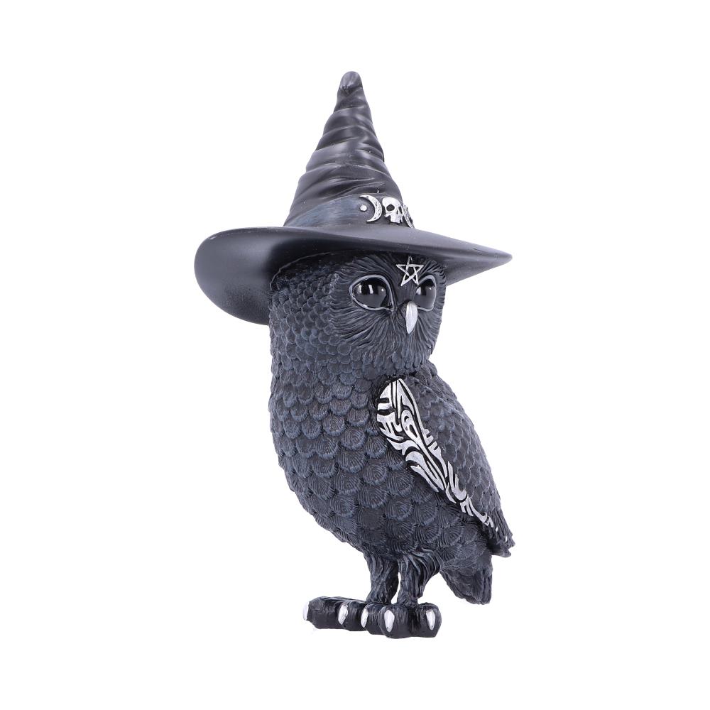 Owlocen